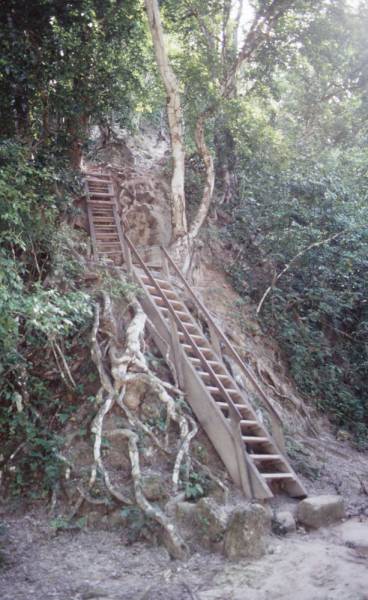 1998-06_12-tikal_050.jpg 1998-06_12-tikal_050.jpg