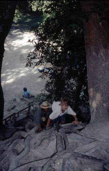 1998-06_12-tikal_051.jpg 1998-06_12-tikal_051.jpg