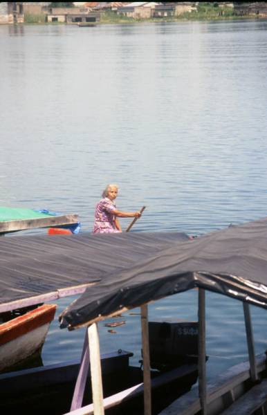 1998-06_13-flores_023.jpg 1998-06_13-flores_023.jpg