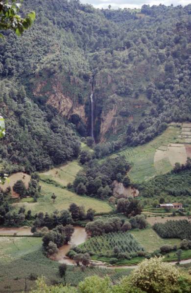 1996-06_06-fuentes_001.jpg 1996-06_06-fuentes_001.jpg