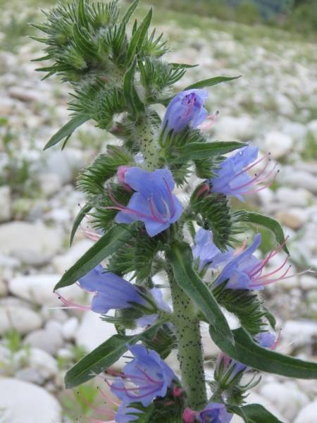 img-063.jpg img-063.jpg