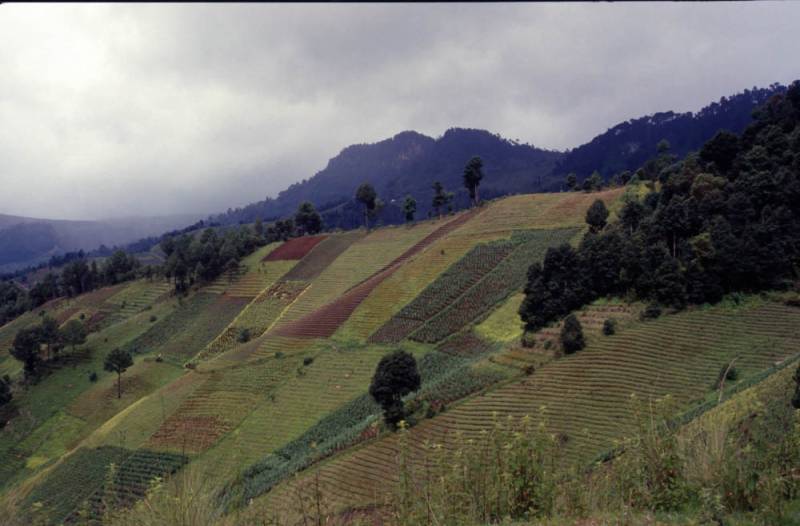 1998-06_10-unterwegs_066.jpg 1998-06_10-unterwegs_066.jpg