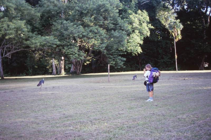 1998-06_12-tikal_007.jpg 1998-06_12-tikal_007.jpg