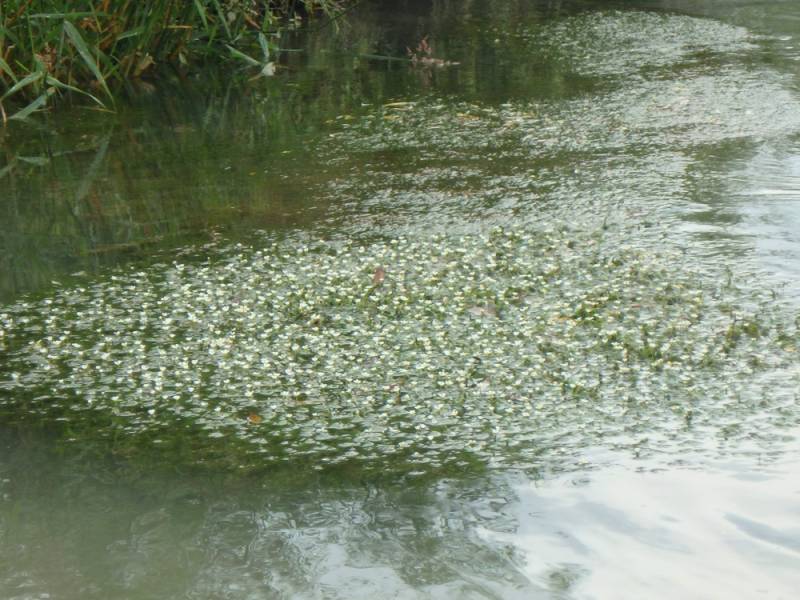 img-040.jpg img-040.jpg