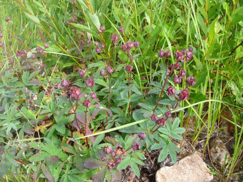 scandoe-2013-unterwegs-105.jpg scandoe-2013-unterwegs-105.jpg