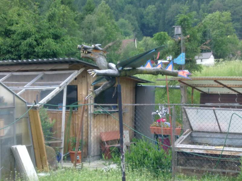 img_0036.jpg img_0036.jpg