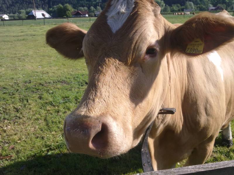 img_0047.jpg img_0047.jpg