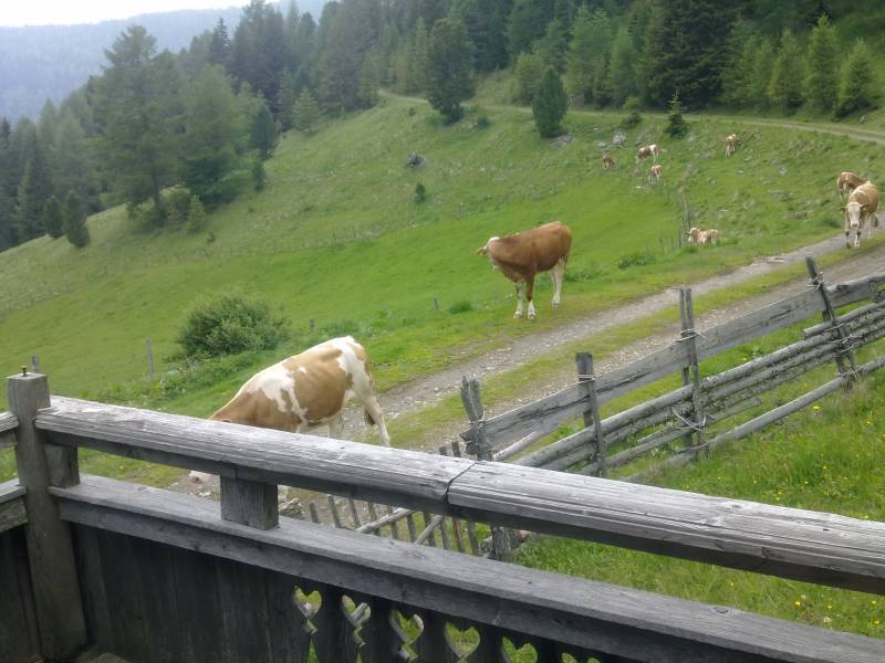 img_0061.jpg img_0061.jpg