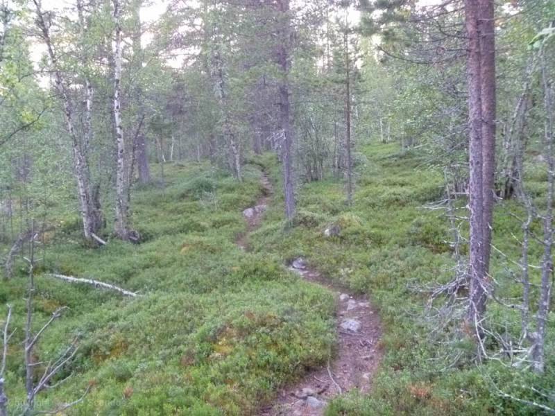 scandoe-2013-unterwegs-056.jpg scandoe-2013-unterwegs-056.jpg