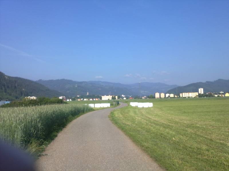 img_0017.jpg img_0017.jpg