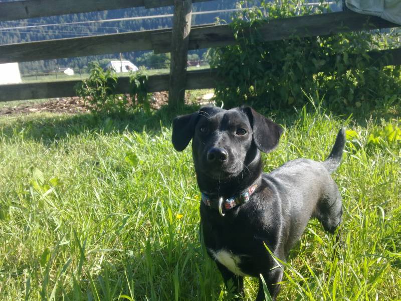 img_0043.jpg img_0043.jpg