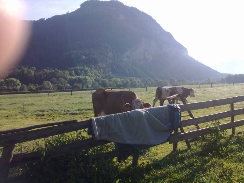 img_0041.jpg img_0041.jpg