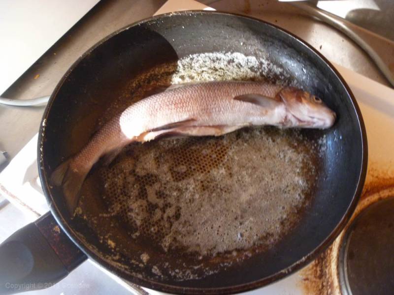 scandoe-2013-unterwegs-195.jpg scandoe-2013-unterwegs-195.jpg