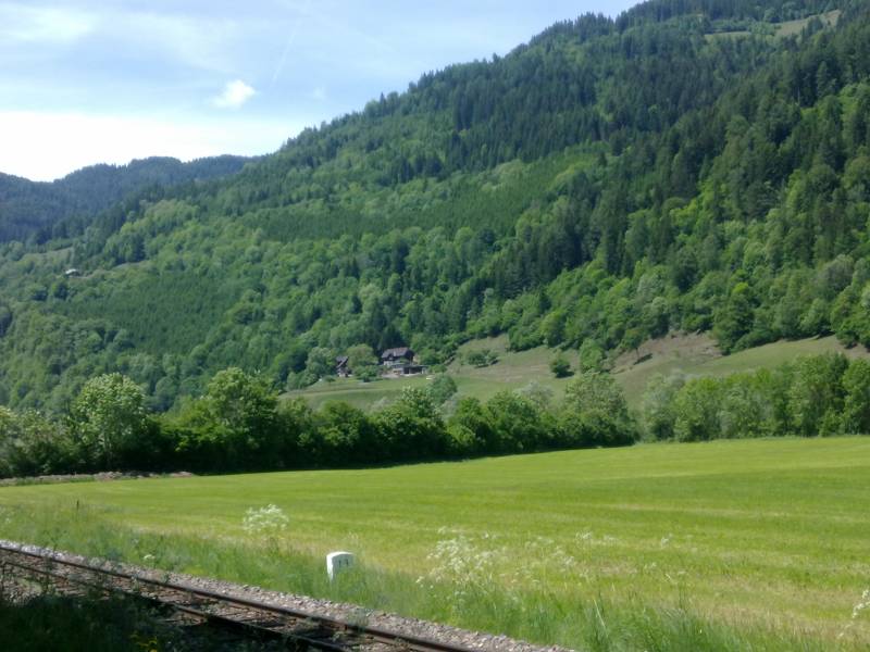 img_0051.jpg img_0051.jpg