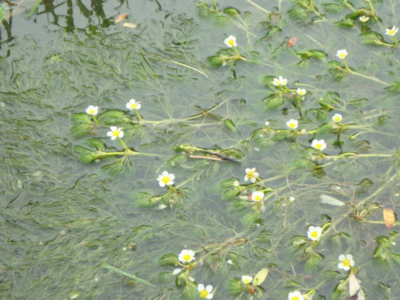 img-039.jpg img-039.jpg