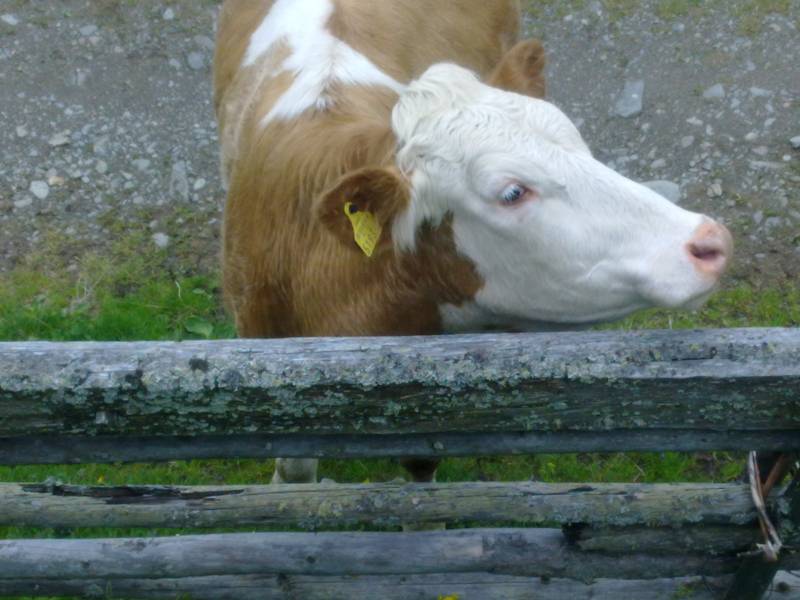 img_0062.jpg img_0062.jpg