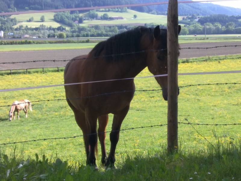 Und was isst du Und was isst du