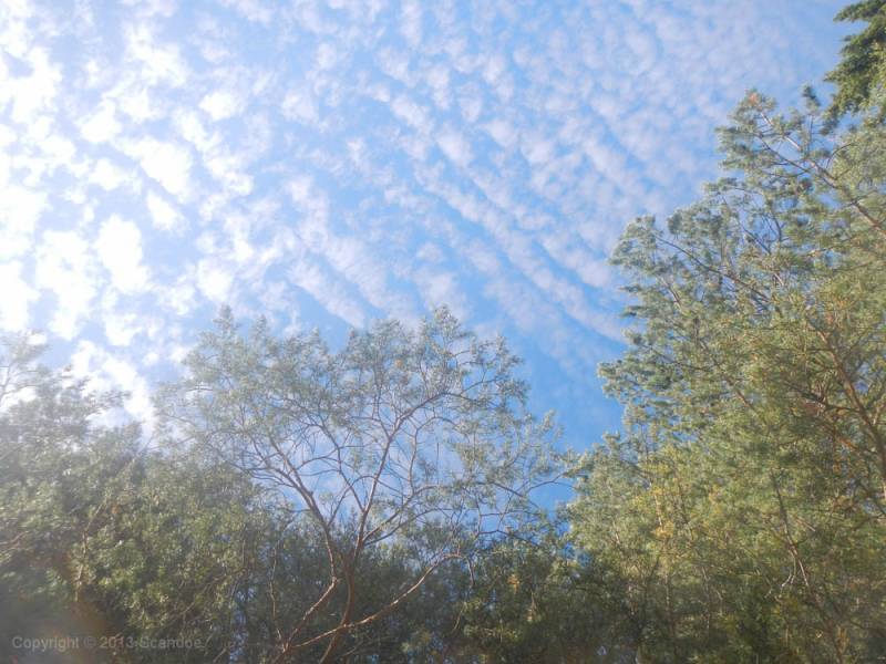 scandoe-2013-unterwegs-098.jpg scandoe-2013-unterwegs-098.jpg