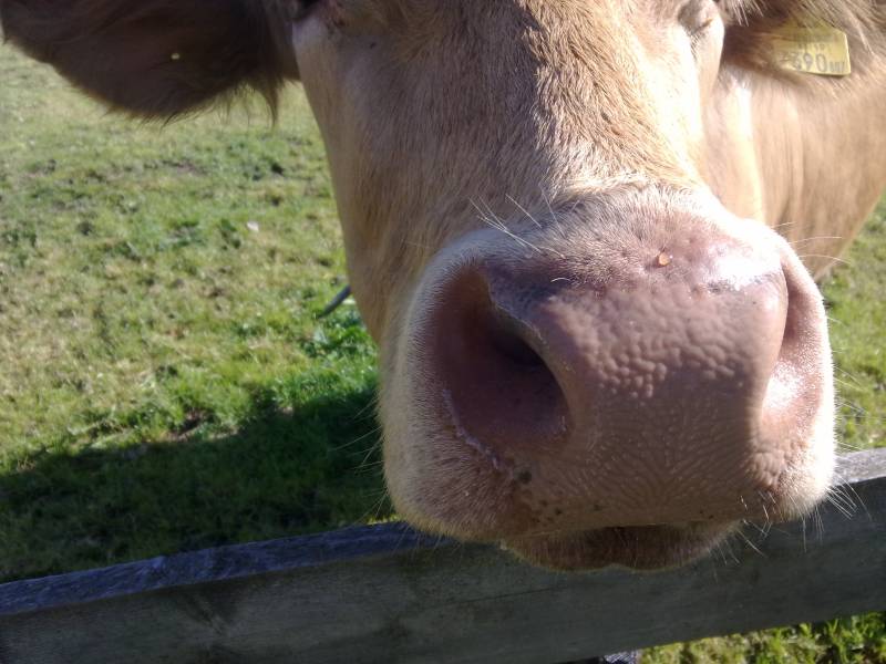 img_0046.jpg img_0046.jpg