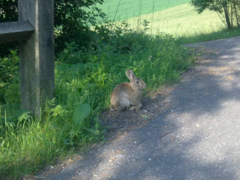 img_0031.jpg img_0031.jpg