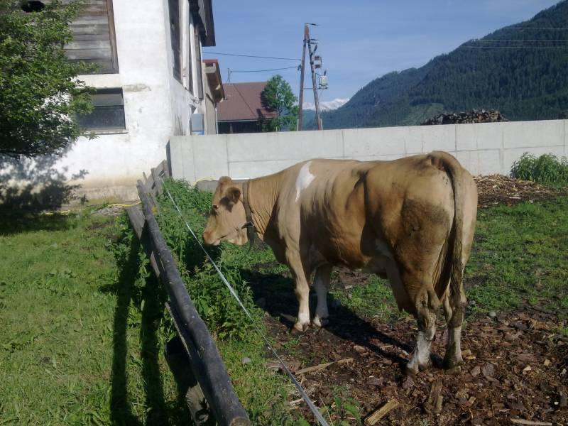 img_0045.jpg img_0045.jpg