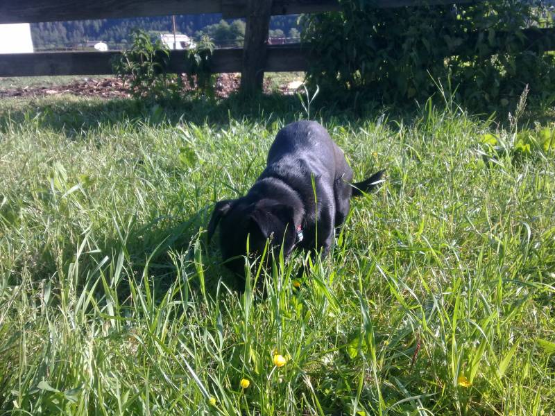 img_0044.jpg img_0044.jpg