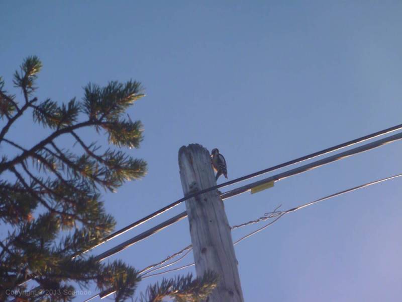 scandoe-2013-unterwegs-082.jpg scandoe-2013-unterwegs-082.jpg