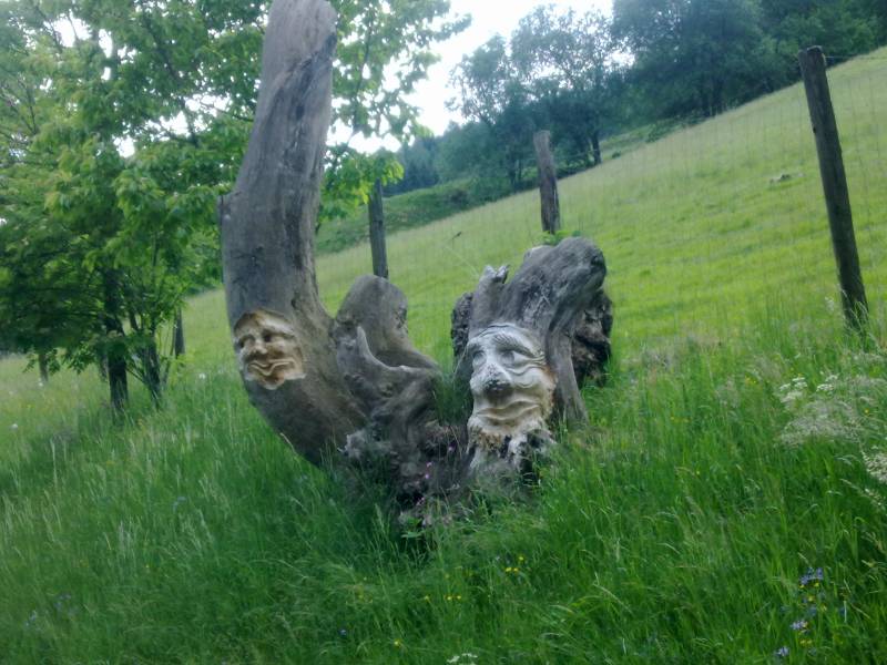 img_0057.jpg img_0057.jpg