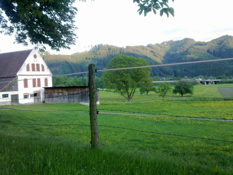 Blick auf das Gestuet bei St.Michael Blick auf das Gestuet bei St.Michael